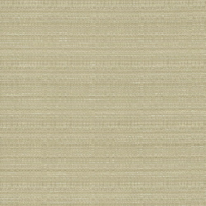Burke Silt by Kasmir Fabric 5163 100% Polyester
 INDIA </p><p>Repeat: Horizontal: N/A and Vertical: N/A 54 - Fabric Carolina -