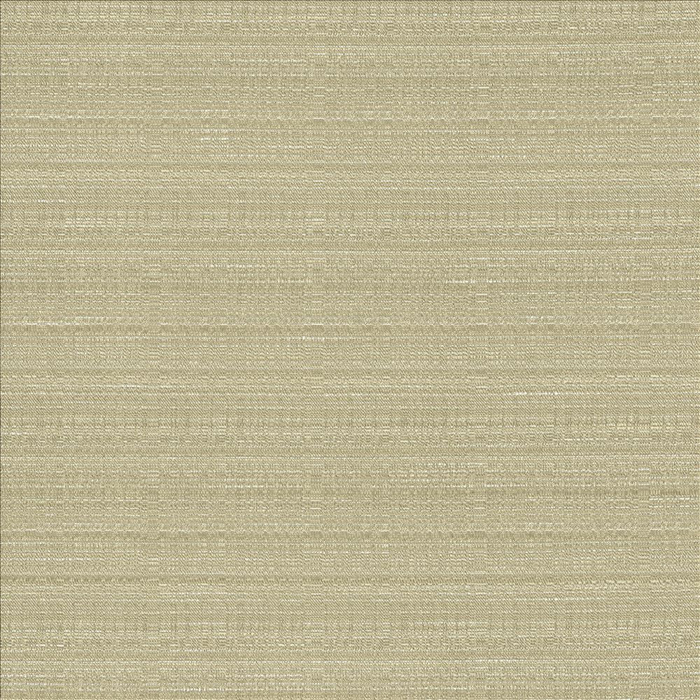 Burke Silt by Kasmir Fabric 5163 100% Polyester
 INDIA </p><p>Repeat: Horizontal: N/A and Vertical: N/A 54 - Fabric Carolina -