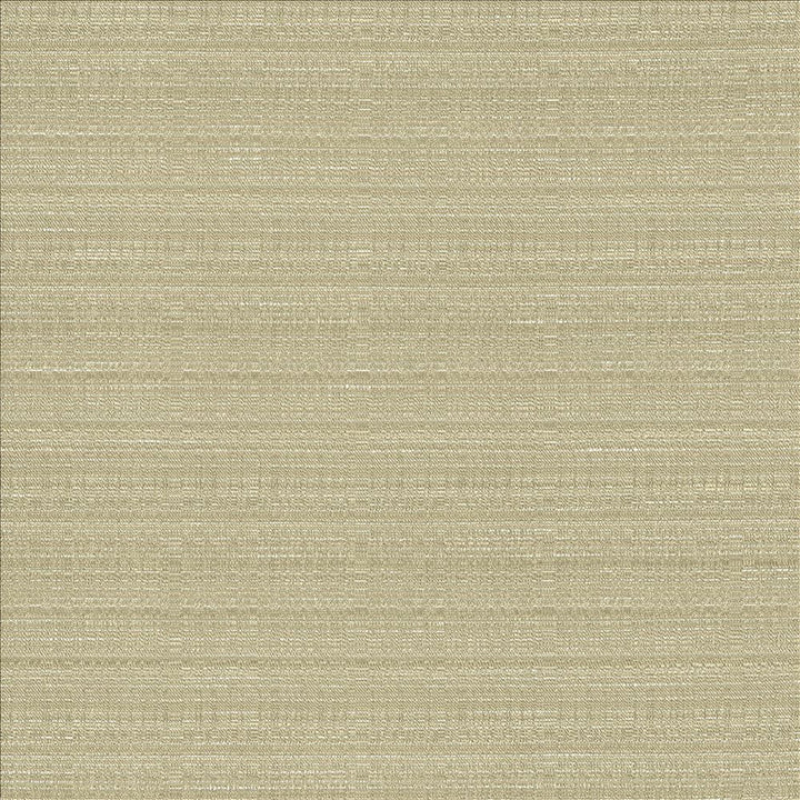 Burke Silt by Kasmir Fabric 5163 100% Polyester
 INDIA </p><p>Repeat: Horizontal: N/A and Vertical: N/A 54 - Fabric Carolina -