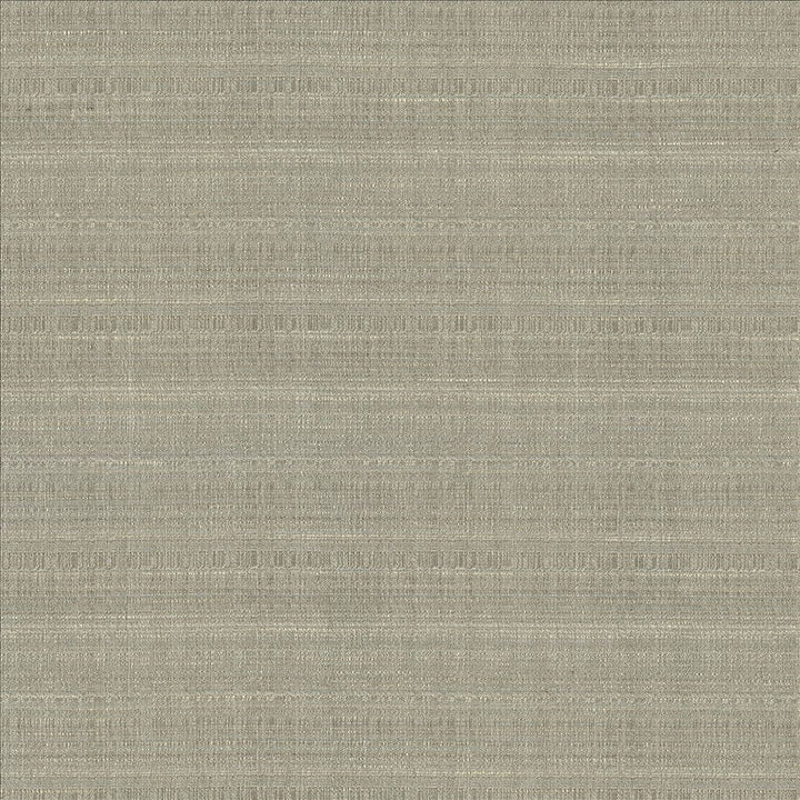Burke Sterling by Kasmir Fabric 5163 100% Polyester
 INDIA Not Tested </p><p>Repeat: Horizontal: N/A and Vertical: N/A 54 - Fabric Carolina -