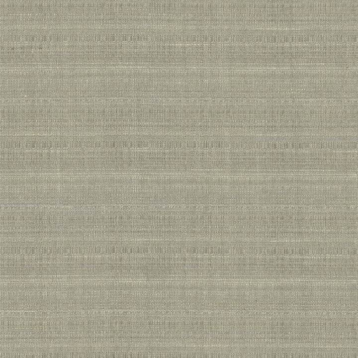 Burke Sterling by Kasmir Fabric 5163 100% Polyester
 INDIA </p><p>Repeat: Horizontal: N/A and Vertical: N/A 54 - Fabric Carolina -