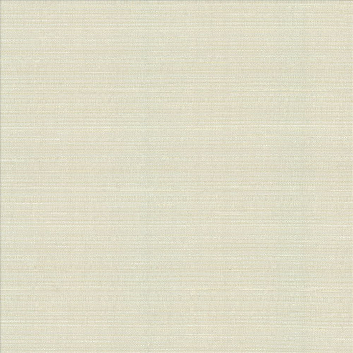 Burke Winter by Kasmir Fabric 5163 100% Polyester
 INDIA </p><p>Repeat: Horizontal: N/A and Vertical: N/A 54 - Fabric Carolina -