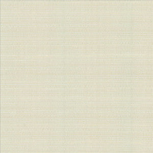 Burke Winter by Kasmir Fabric