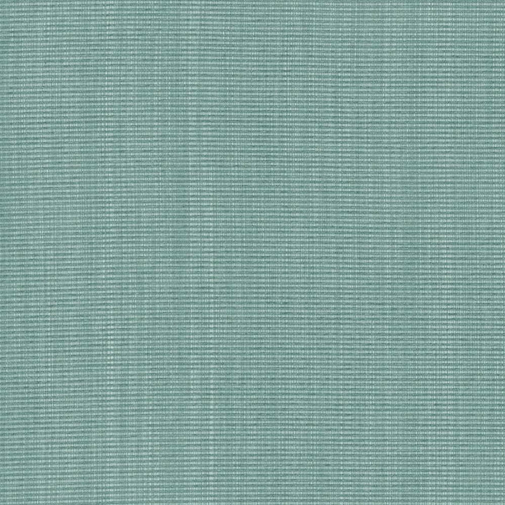 Burnet Aqua by Kasmir Fabric 5073 52% Cotton
31% Polyester
17% Rayon
 CHINA 60,000 Wyzenbeek Double Rubs </p><p>Repeat: Horizontal: N/A and Vertical: N/A 58 - Fabric Carolina -