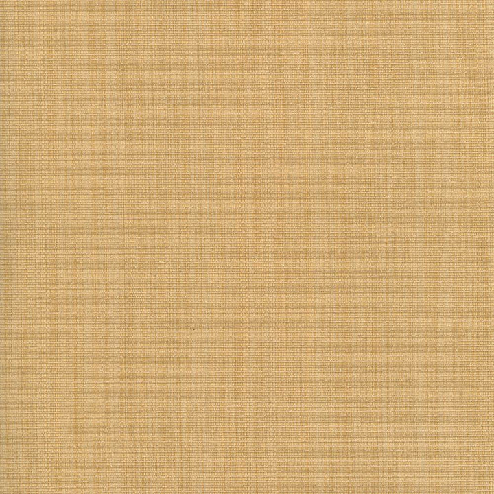 Burnet Butter by Kasmir Fabric 5069 52% Cotton
31% Polyester
17% Rayon
 CHINA </p><p>Repeat: Horizontal: N/A and Vertical: N/A 58 - Fabric Carolina -