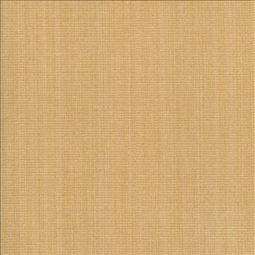 Burnet Butter by Kasmir Fabric 1327 52% Cotton 31% Polyester 17% Rayon CHINA 60,000 Wyzenbeek Double Rubs H: N/A, V: N/A 58 - Fabric Carolina - Kasmir