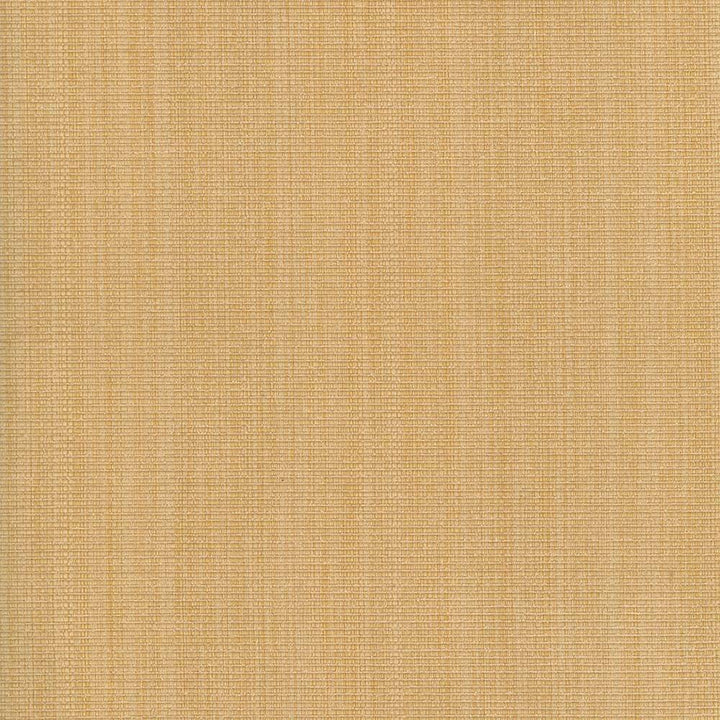 Burnet Butter by Kasmir Fabric 5069 52% Cotton 31% Polyester 17% Rayon CHINA 60,000 Wyzenbeek Double Rubs H: N/A, V:N/A 58 - Fabric Carolina - Kasmir