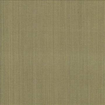 Burnet Celery by Kasmir Fabric 5074 52% Cotton 31% Polyester 17% Rayon CHINA 60,000 Wyzenbeek Double Rubs H: N/A, V: N/A 58 - Fabric Carolina - Kasmir