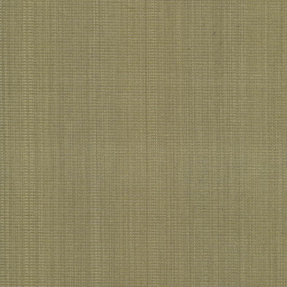 Burnet Celery by Kasmir Fabric 5074 52% Cotton 31% Polyester 17% Rayon CHINA 60,000 Wyzenbeek Double Rubs Horizontal: 0 Inches and Vertical: 0 Inches 58 - Fabric Carolina -