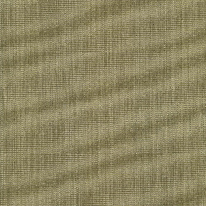 Burnet Celery by Kasmir Fabric 5074 52% Cotton 31% Polyester 17% Rayon CHINA 60,000 Wyzenbeek Double Rubs Horizontal: 0 Inches and Vertical: 0 Inches 58 - Fabric Carolina -