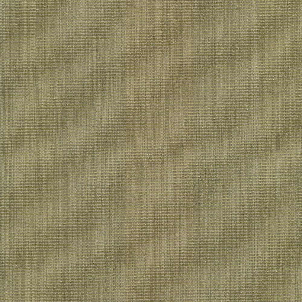 Burnet Celery by Kasmir Fabric 5074 52% Cotton
31% Polyester
17% Rayon
 CHINA </p><p>Repeat: Horizontal: N/A and Vertical: N/A 58 - Fabric Carolina -