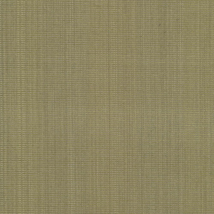 Burnet Celery by Kasmir Fabric 5074 52% Cotton
31% Polyester
17% Rayon
 CHINA </p><p>Repeat: Horizontal: N/A and Vertical: N/A 58 - Fabric Carolina -
