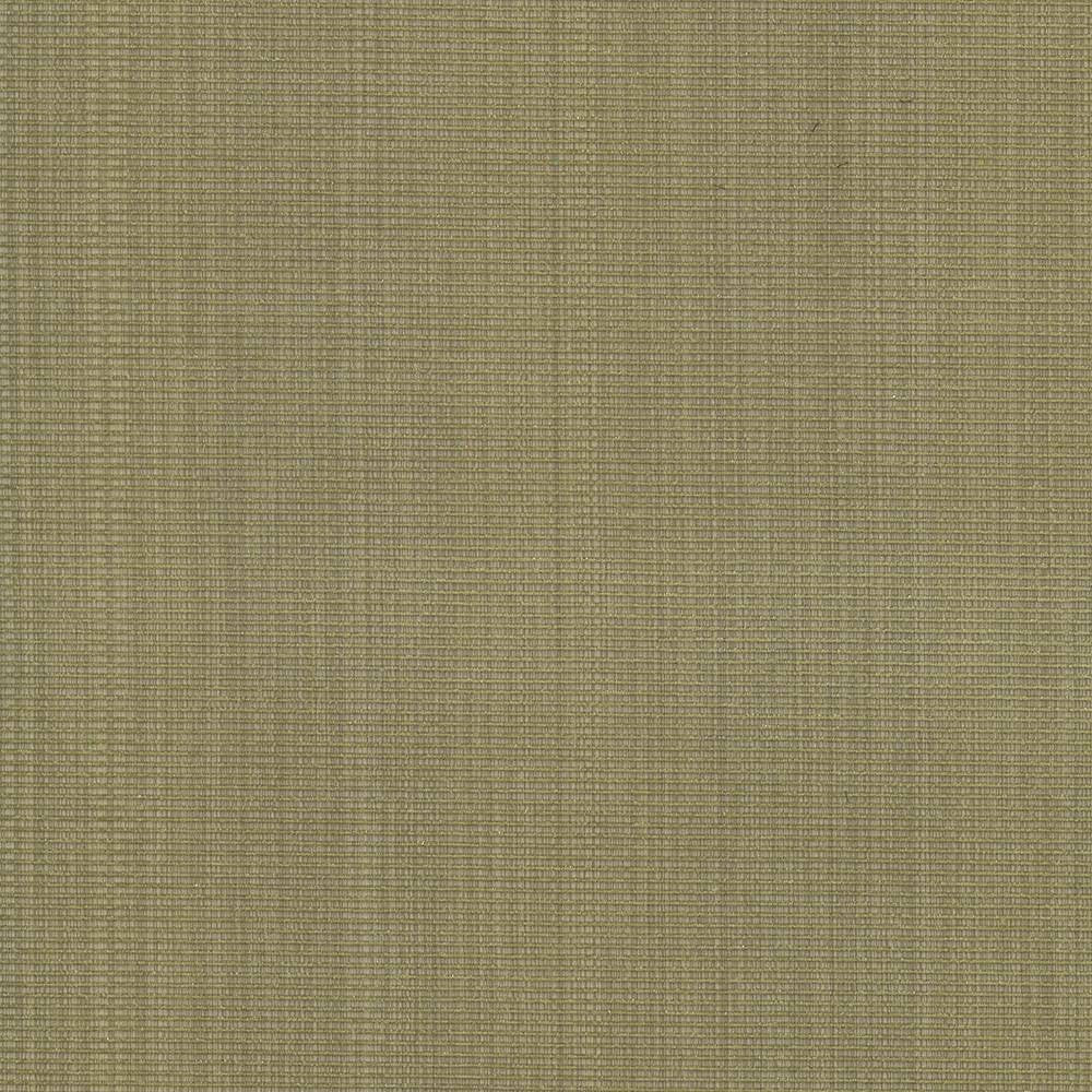Burnet Celery by Kasmir Fabric 5074 52% Cotton 31% Polyester 17% Rayon CHINA 60,000 Wyzenbeek Double Rubs H: N/A, V:N/A 58 - Fabric Carolina - Kasmir