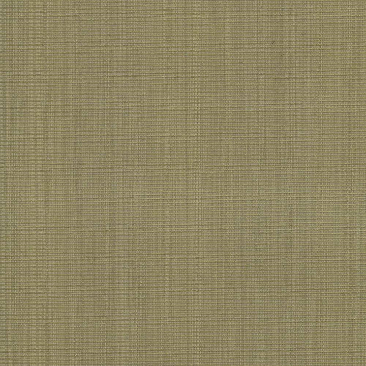 Burnet Celery by Kasmir Fabric 5074 52% Cotton 31% Polyester 17% Rayon CHINA 60,000 Wyzenbeek Double Rubs H: N/A, V:N/A 58 - Fabric Carolina - Kasmir