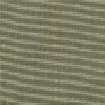 Burnet Sage by Kasmir Fabric 5074 52% Cotton 31% Polyester 17% Rayon CHINA 60,000 Wyzenbeek Double Rubs H: N/A, V: N/A 58 - Fabric Carolina - Kasmir