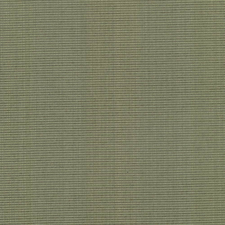 Burnet Sage by Kasmir Fabric 5074 52% Cotton
31% Polyester
17% Rayon
 CHINA </p><p>Repeat: Horizontal: N/A and Vertical: N/A 58 - Fabric Carolina -