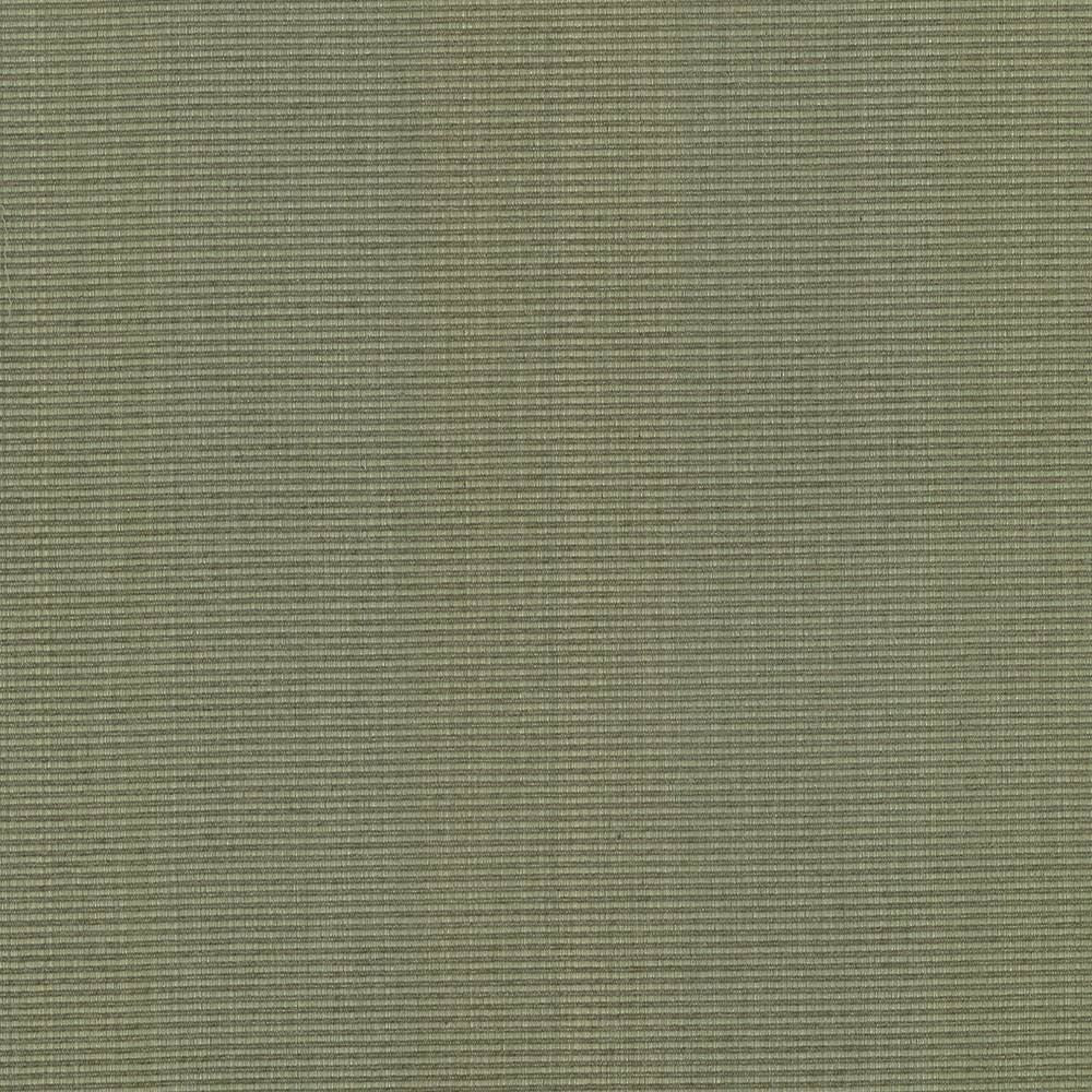 Burnet Sage by Kasmir Fabric 5074 52% Cotton
31% Polyester
17% Rayon
 CHINA </p><p>Repeat: Horizontal: N/A and Vertical: N/A 58 - Fabric Carolina -