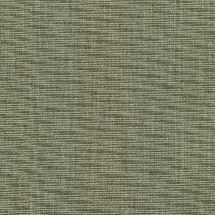Burnet Sage by Kasmir Fabric 5074 52% Cotton
31% Polyester
17% Rayon
 CHINA </p><p>Repeat: Horizontal: N/A and Vertical: N/A 58 - Fabric Carolina -