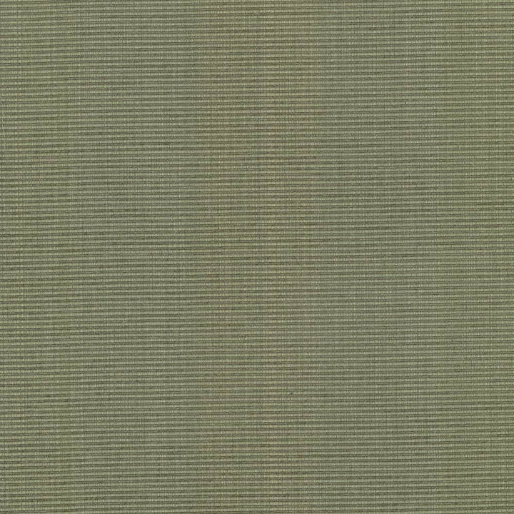 Burnet Sage by Kasmir Fabric 5074 52% Cotton 31% Polyester 17% Rayon CHINA 60,000 Wyzenbeek Double Rubs H: N/A, V:N/A 58 - Fabric Carolina - Kasmir