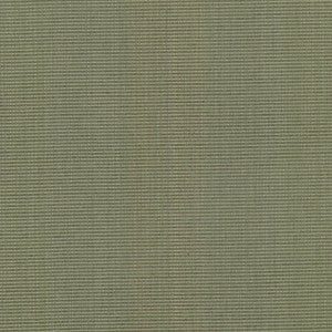 Burnet Sage by Kasmir Fabric