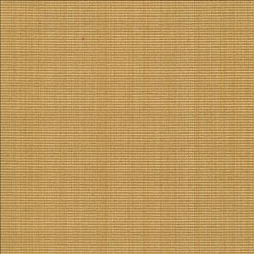 Burnet Sunglow by Kasmir Fabric 1327 52% Cotton 31% Polyester 17% Rayon CHINA 60,000 Wyzenbeek Double Rubs H: N/A, V: N/A 58 - Fabric Carolina - Kasmir