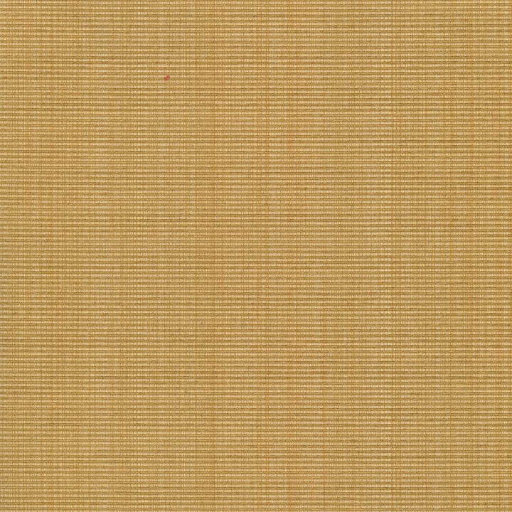 Burnet Sunglow by Kasmir Fabric 5069 52% Cotton
31% Polyester
17% Rayon
 CHINA </p><p>Repeat: Horizontal: N/A and Vertical: N/A 58 - Fabric Carolina -