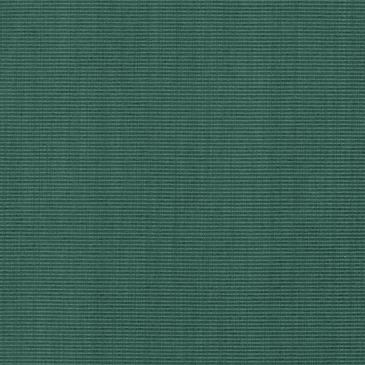 Burnet Teal by Kasmir Fabric 5073 52% Cotton
31% Polyester
17% Rayon
 CHINA 60,000 Wyzenbeek Double Rubs </p><p>Repeat: Horizontal: N/A and Vertical: N/A 58 - Fabric Carolina -