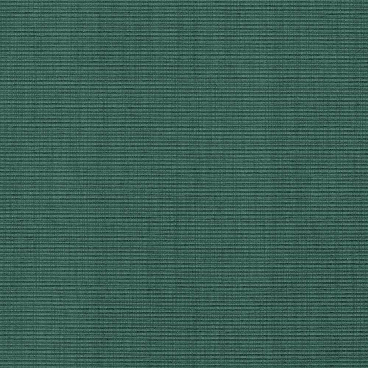 Burnet Teal by Kasmir Fabric 5073 52% Cotton
31% Polyester
17% Rayon
 CHINA </p><p>Repeat: Horizontal: N/A and Vertical: N/A 58 - Fabric Carolina -