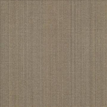 Burnet Walnut by Kasmir Fabric 5068 52% Cotton 31% Polyester 17% Rayon CHINA 60,000 Wyzenbeek Double Rubs H: N/A, V: N/A 58 - Fabric Carolina - Kasmir
