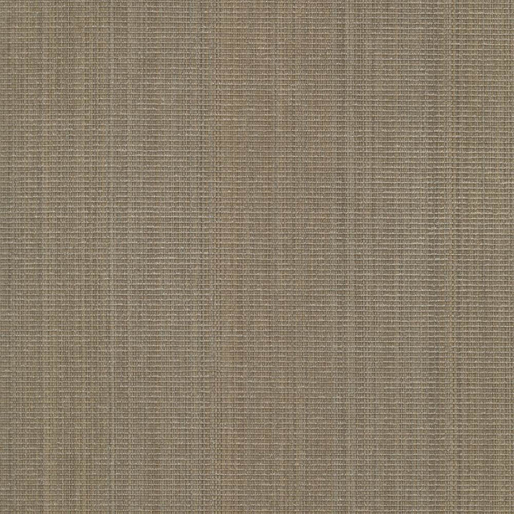 Burnet Walnut by Kasmir Fabric 5068 52% Cotton
31% Polyester
17% Rayon
 CHINA </p><p>Repeat: Horizontal: N/A and Vertical: N/A 58 - Fabric Carolina -