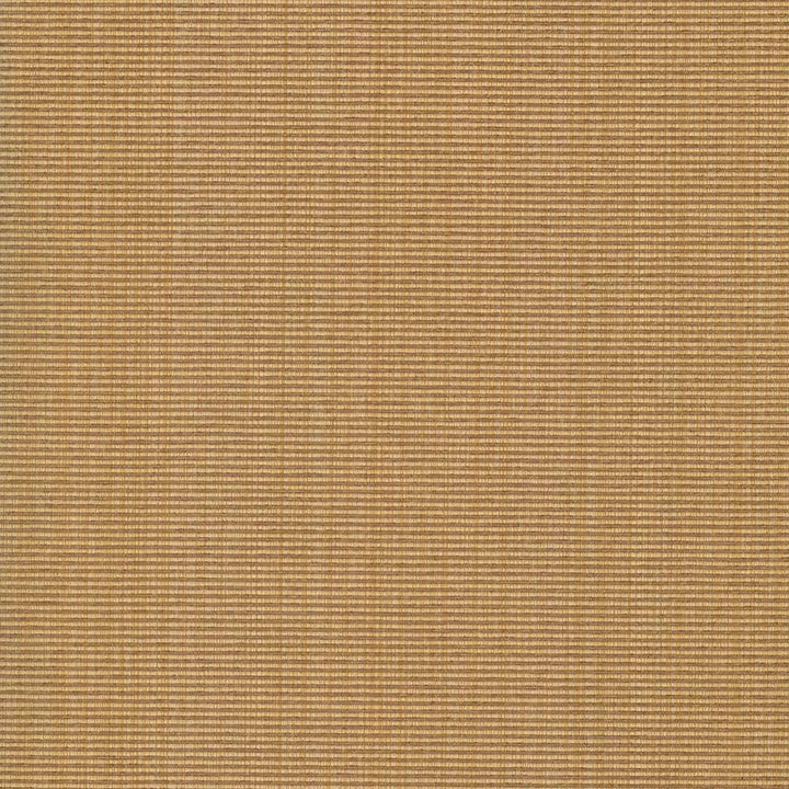 Burnet Whiskey by Kasmir Fabric 5069 52% Cotton 31% Polyester 17% Rayon CHINA 60,000 Wyzenbeek Double Rubs H: N/A, V:N/A 58 - Fabric Carolina - Kasmir