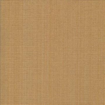 Burnet Whiskey by Kasmir Fabric 5069 52% Cotton 31% Polyester 17% Rayon CHINA 60,000 Wyzenbeek Double Rubs H: N/A, V: N/A 58 - Fabric Carolina - Kasmir