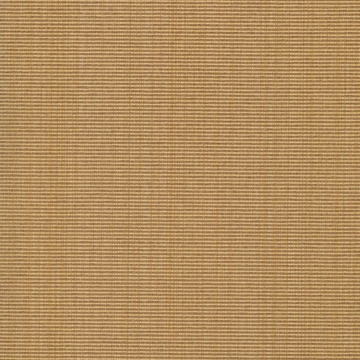 Burnet Whiskey by Kasmir Fabric 5069 52% Cotton
31% Polyester
17% Rayon
 CHINA 60,000 Wyzenbeek Double Rubs Horizontal: N/A and Vertical: N/A 58 - Fabric Carolina -