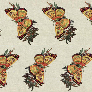 Butterfly Kisses Document by Kasmir Fabric