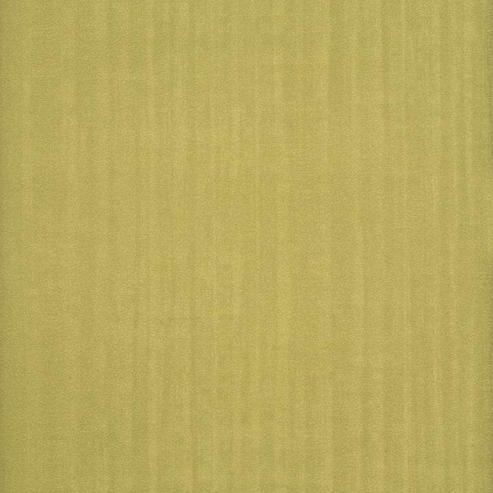 Burnish Strong Yellow by G P & J Baker Wallcovering