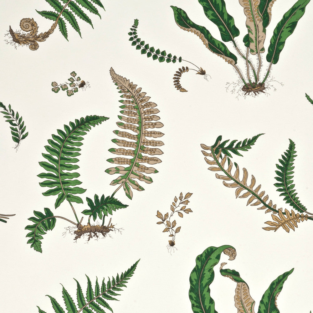 Ferns Original Green by G P & J Baker Wallcovering