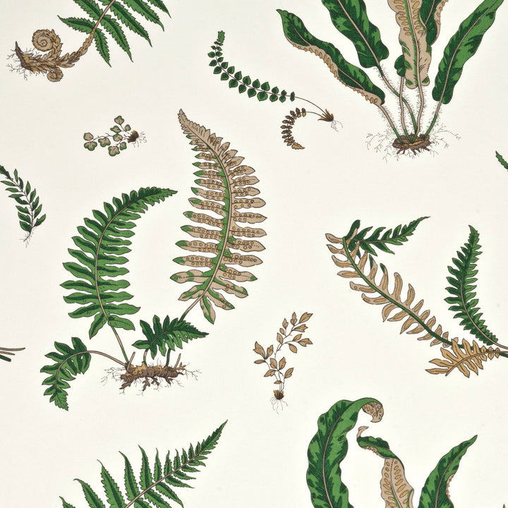Ferns Original Green by G P & J Baker Wallcovering