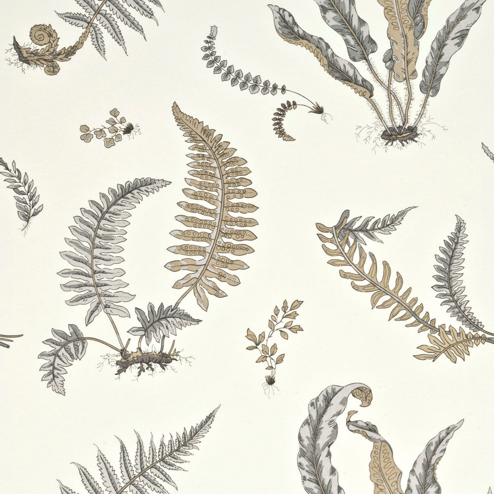 Ferns Dove Grey/Silver by G P & J Baker Wallcovering