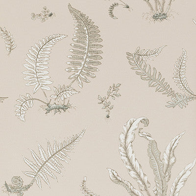 Ferns Linen by G P & J Baker Wallcovering