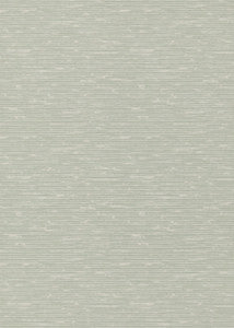 Grasscloth Soft Green by G P & J Baker Wallcovering