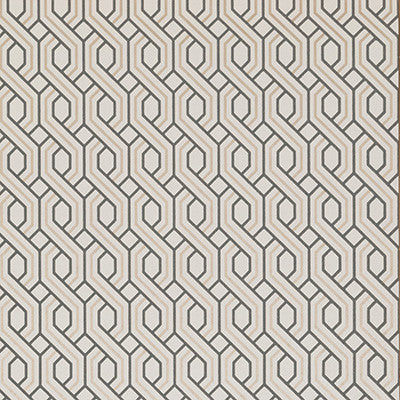 Boxwood Trellis Charcoal/Bronze by G P & J Baker Wallcovering