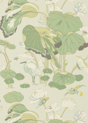 Nympheus Botanical by G P & J Baker Wallcovering