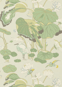 Nympheus Botanical by G P & J Baker Wallcovering