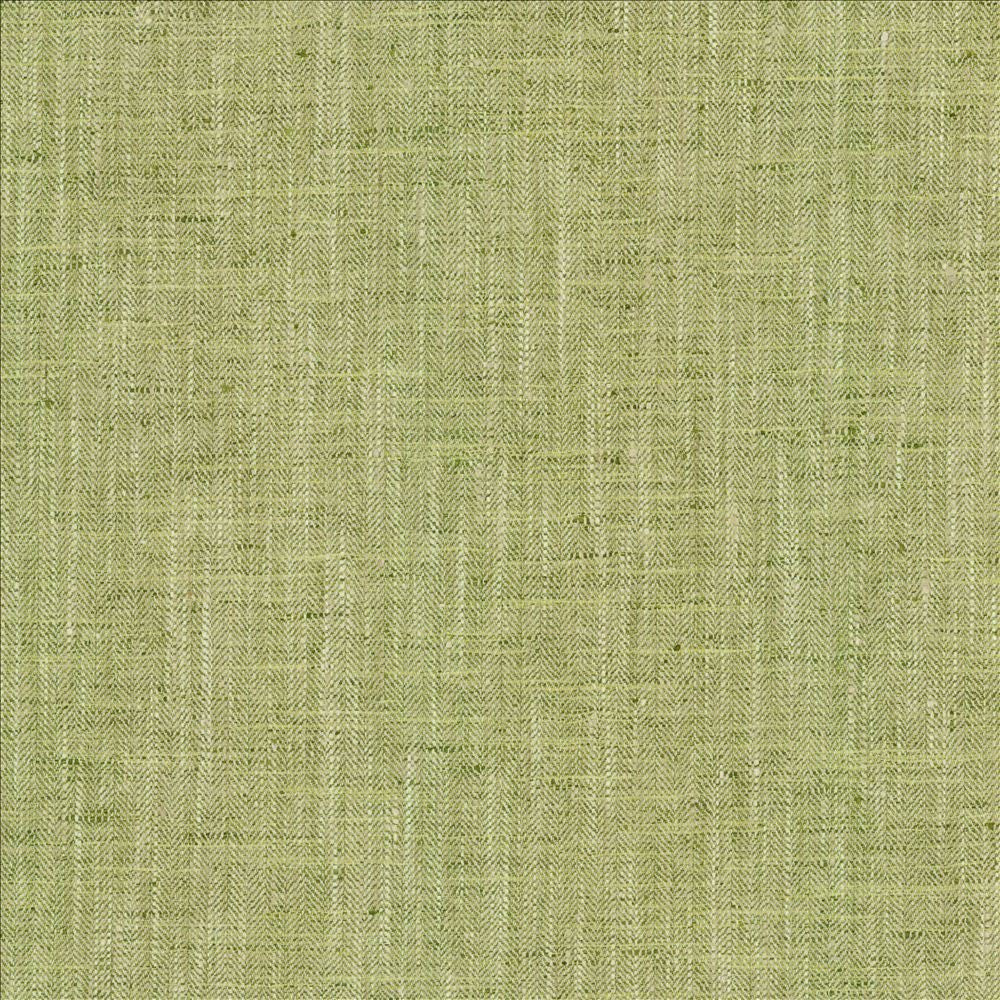 By A Mile Grass by Kasmir Fabric 5162 100% Polyester
 INDIA 51,000 Wyzenbeek Double Rubs </p><p>Repeat: Horizontal: N/A and Vertical: N/A 54 - Fabric Carolina -