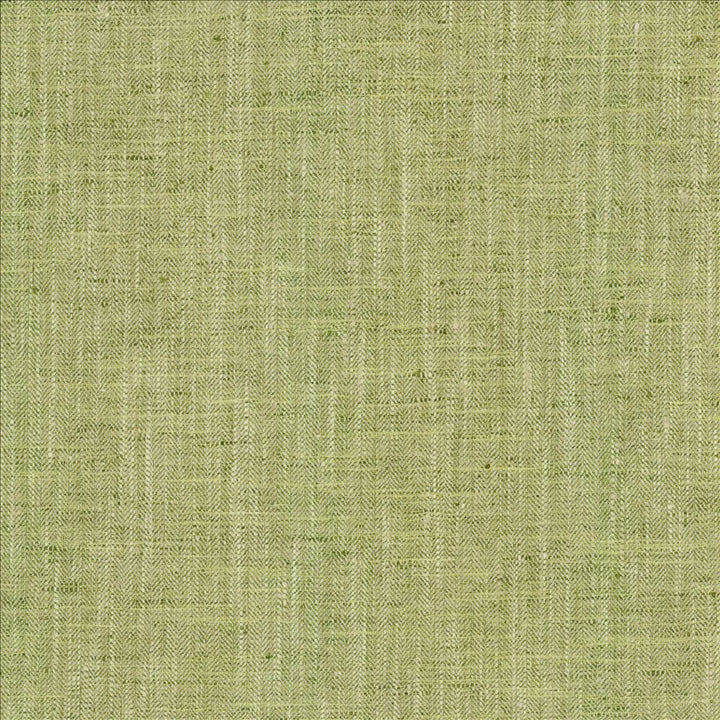 By A Mile Grass by Kasmir Fabric 5162 100% Polyester
 INDIA 51,000 Wyzenbeek Double Rubs </p><p>Repeat: Horizontal: N/A and Vertical: N/A 54 - Fabric Carolina -
