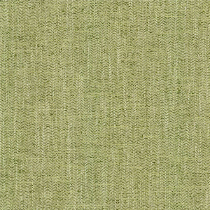 By A Mile Grass by Kasmir Fabric 5162 100% Polyester
 INDIA </p><p>Repeat: Horizontal: N/A and Vertical: N/A 54 - Fabric Carolina -