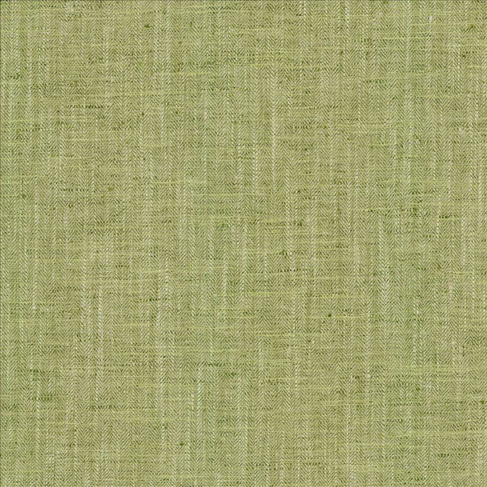 By A Mile Grass by Kasmir Fabric 5162 100% Polyester
 INDIA </p><p>Repeat: Horizontal: N/A and Vertical: N/A 54 - Fabric Carolina -