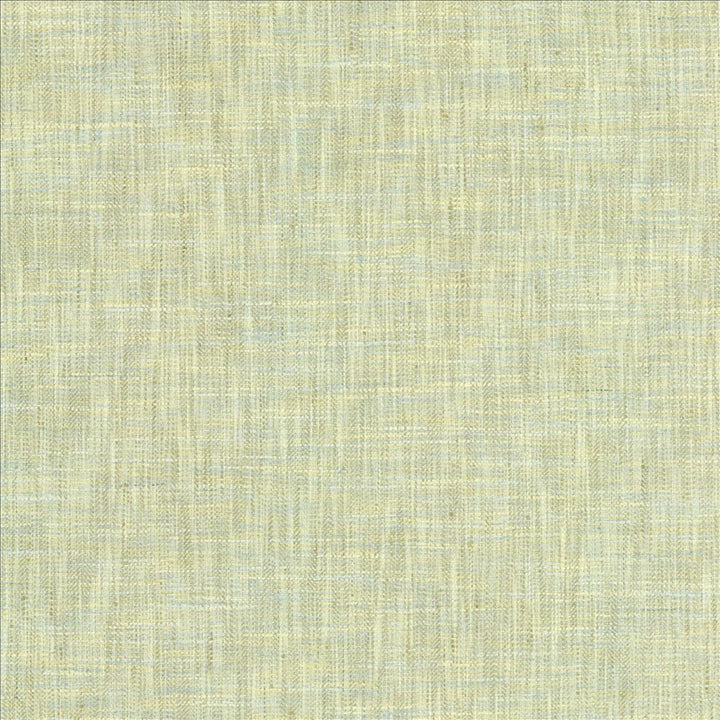 By A Mile Mint Julep  by Kasmir Fabric See sample 100% Polyester
 INDIA 51,000 Wyzenbeek Double Rubs </p><p>Repeat: Horizontal: N/A and Vertical: N/A 54  - Fabric Carolina -