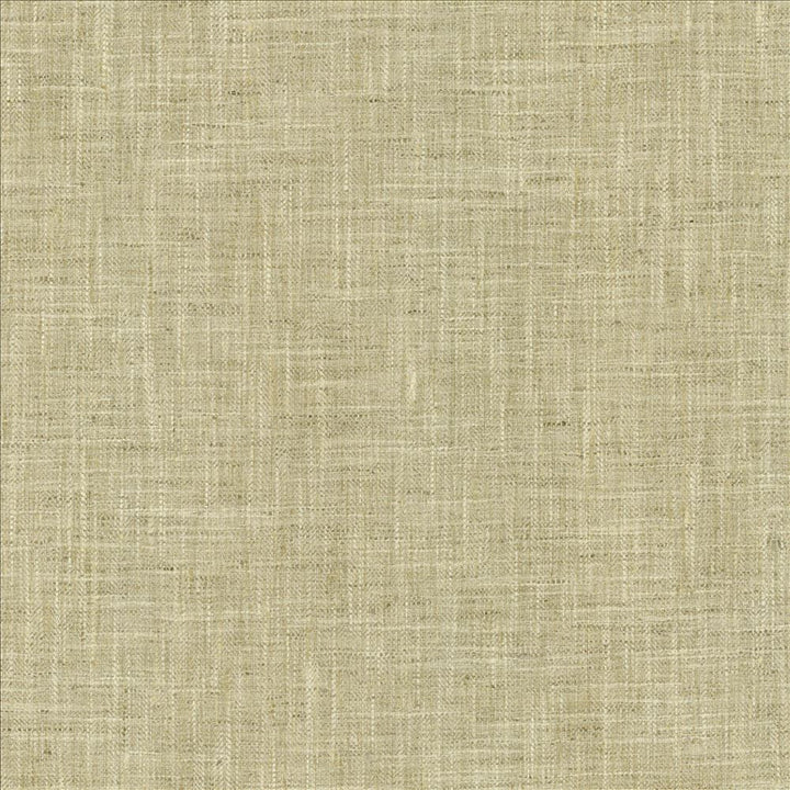 By A Mile Moonstone by Kasmir Fabric 5162 100% Polyester
 INDIA 51,000 Wyzenbeek Double Rubs </p><p>Repeat: Horizontal: N/A and Vertical: N/A 54 - Fabric Carolina -