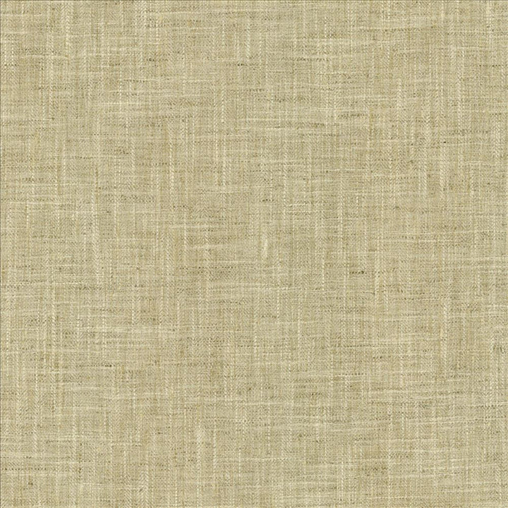 By A Mile Moonstone by Kasmir Fabric 5162 100% Polyester
 INDIA </p><p>Repeat: Horizontal: N/A and Vertical: N/A 54 - Fabric Carolina -